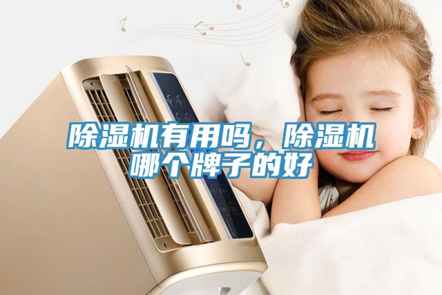 MR.好色破解版有用吗，MR.好色破解版哪个牌子的好