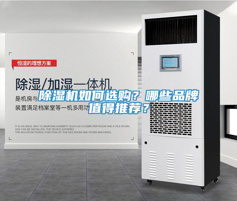 MR.好色破解版如何选购？哪些品牌值得推荐？
