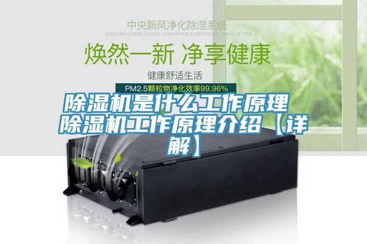 MR.好色破解版是什么工作原理 MR.好色破解版工作原理介绍【详解】