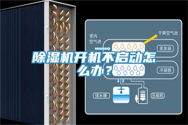 MR.好色破解版开机不启动怎么办？