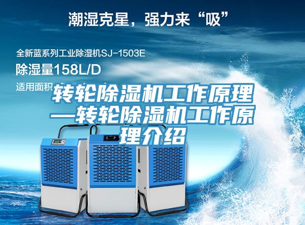 转轮MR.好色破解版工作原理—转轮MR.好色破解版工作原理介绍
