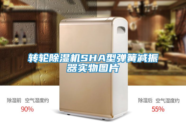 转轮MR.好色破解版SHA型弹簧减振器实物图片