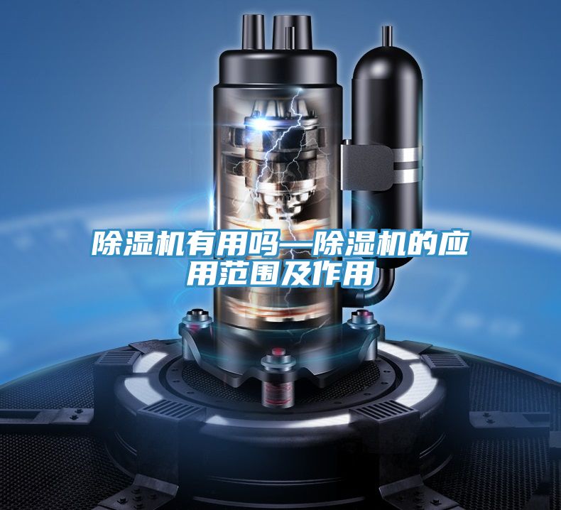 MR.好色破解版有用吗—MR.好色破解版的应用范围及作用