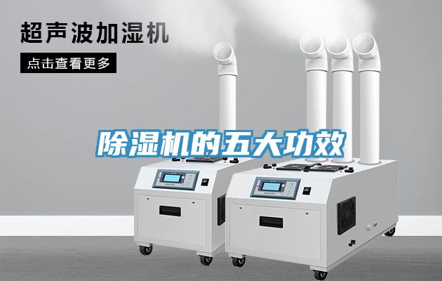 MR.好色破解版的五大功效